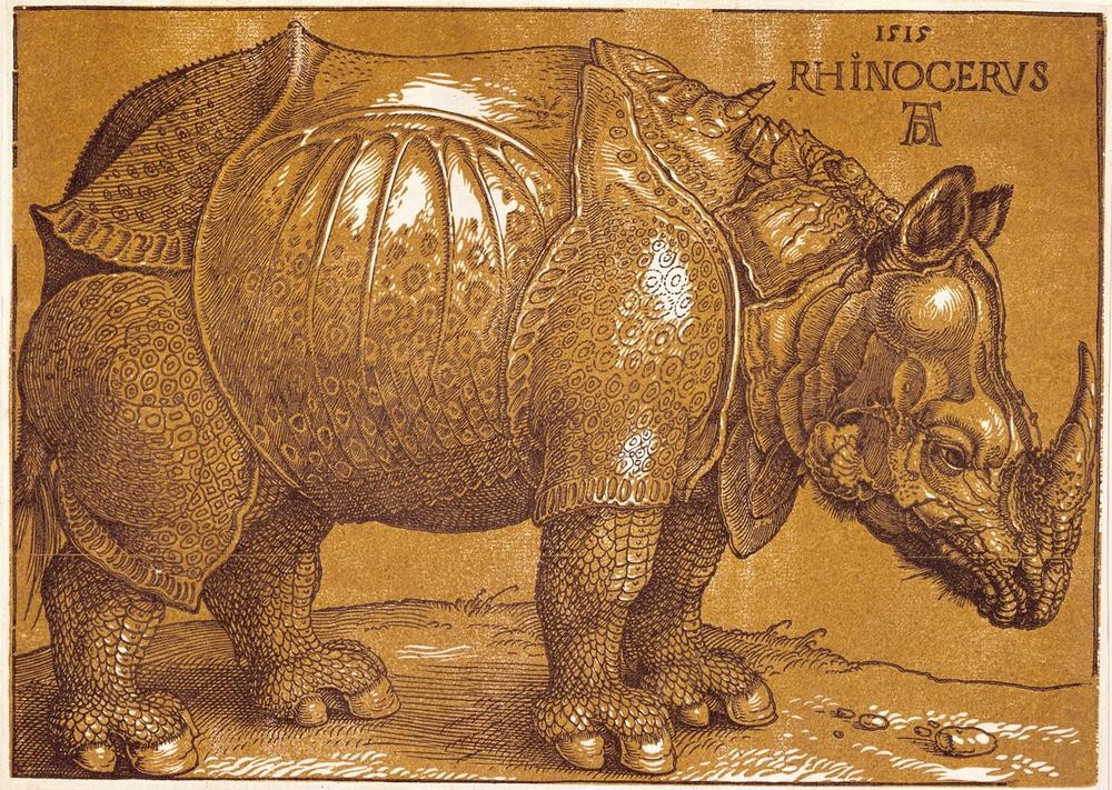 Albrecht Dürer, Rhinozeros (Deutsche Kunst,Nashorn,Zoologie,Renaissance,Tier,Säugetier,Unpaarhufer)