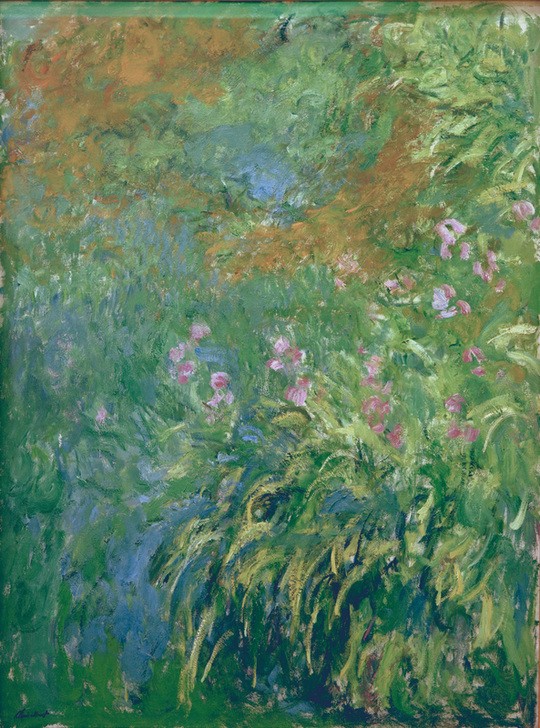Claude Monet, Iris (Botanik,Iris (Botanik),Kunst,Landschaft,Impressionismus,Französische Kunst,Harmonie)