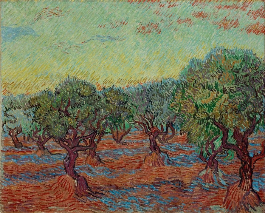 Vincent van Gogh, Olivenhain (Kunst,Landschaft,Olivenhain,Impressionismus,Baum,Niederländische Kunst,Holländische Kunst,Olivenbaum,Postimpressionismus,Landwirtschaft)