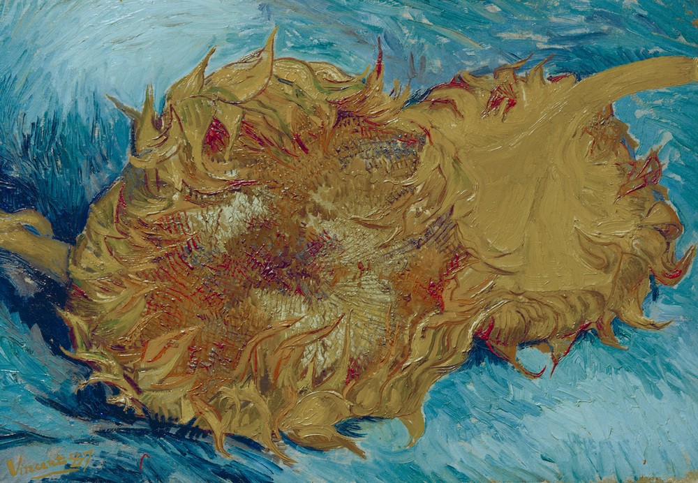 Vincent van Gogh, Zwei abgeschnittene Sonnenblumen (Botanik,Kunst,Sonnenblume,Impressionismus,Stillleben,Niederländische Kunst,Blume)