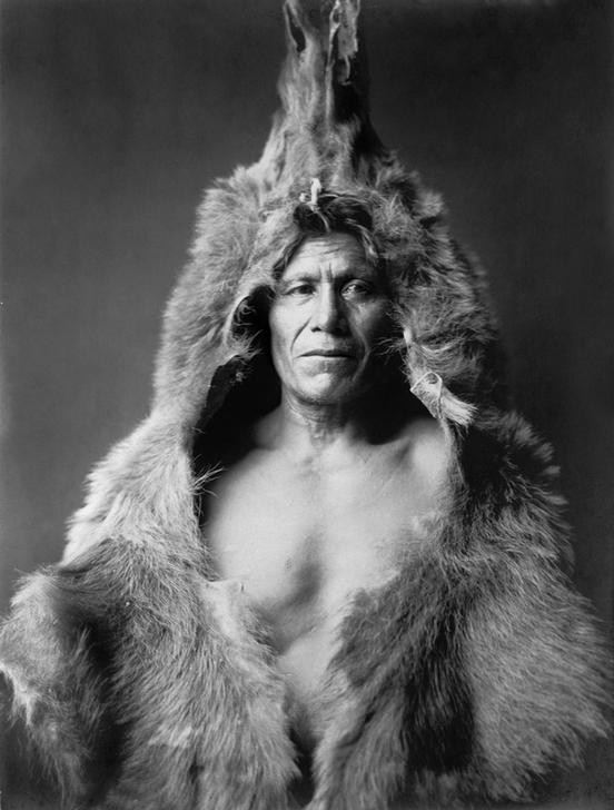 Edward S. Curtis, Unbekannt (MANN, VÖLKERKUNDE, WILDER WESTEN, INDIANER, PORTRAIT, FELL, BÄRENFELL, ARIKARA)