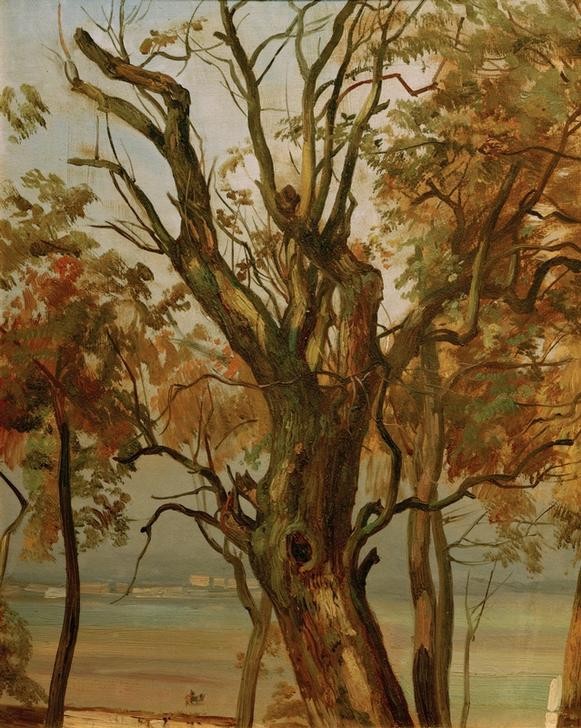 Christian Friedrich Gille, Baumstudie im Herbst (Elbufer bei Dresden) (Natur, Baum, Baumstamm, Äste, Botanik, Blätter, Herbst, Jahreszeit, Wohnzimmer, Treppenhaus, Malerei, Wunschgröße)