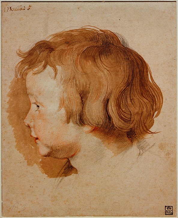 Peter Paul Rubens, Albert Rubens im Profil nach links (Flämische Kunst,Kind,Kunst,Barock,Portrait,Niederländische Kunst,Knabe,Profil,Kopf,Sohn Von Berühmten)
