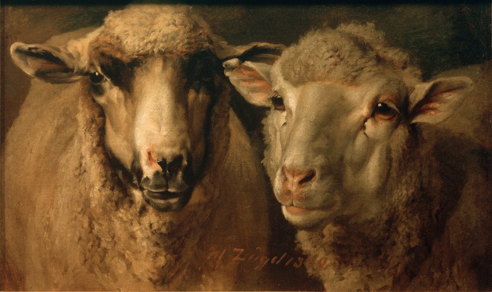 Heinrich von Zügel, Zwei Schafe (Biologie,Deutsche Kunst,Kunst,Sezession,Zoologie,Realismus,Portrait,Schaf,Kopfstudie,Tier,Kopf,Säugetier,Blick Aus Dem Bild,Huftier,Münchner Sezession,Tierstudie,Nutztier,Paarhufer,Signatur)