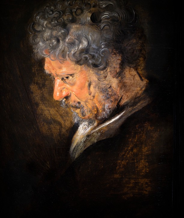 Antoon oder Anthonis Van Dyck, Porträtstudie eines alten Mannes, nach links (Kunst,Mann,Alter,Portrait,Niederländische Kunst,Profil,Alter Mann,Ausschnitt)