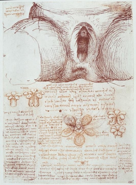 Leonardo da Vinci, Anatomiestudien: Vulva einer multiparen Frau nach der Geburt (Anatomie, Handschrift, Mensch, Medizin, Naturwissenschaft,    Studie, Vilva, Gynäkologie, Frau, Geburt, Renaissance, Klassiker, Zeichnung, Wunschgröße, Wohnzimmer, Arztpraxis)