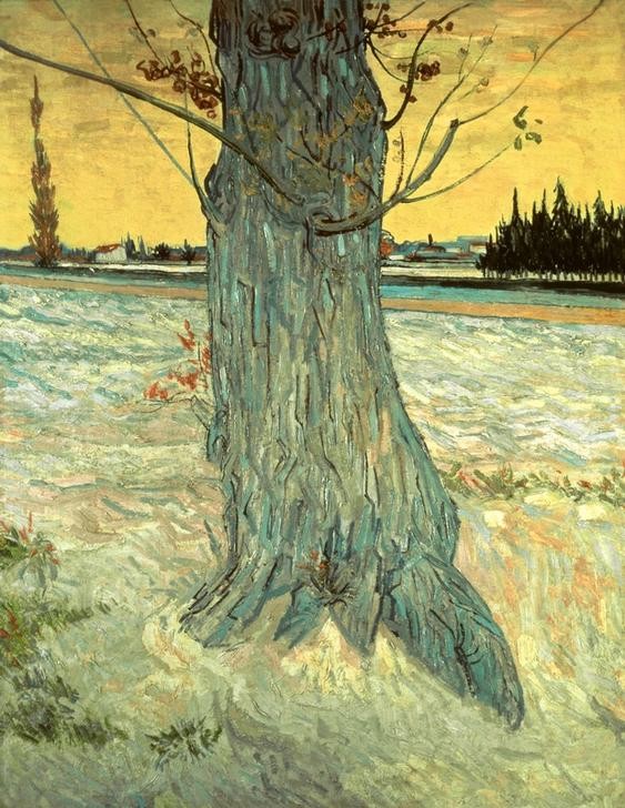 Vincent van Gogh, Der Baum (Botanik,Impressionismus,Baum,Niederländische Kunst,Baumstamm)