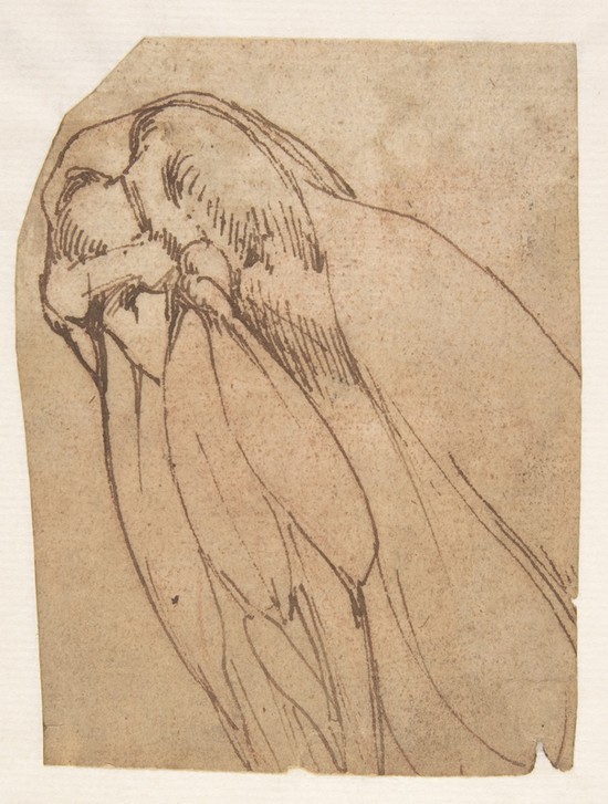 MICHELANGELO BUONARROTI, Anatomical Study of a Knee (Anatomie, Studie, Knie, Gelenk, Muskeln, Skizze, Zeichnung, Klassiker, Renaissance, Wunschgröße, schwarz/weiß)