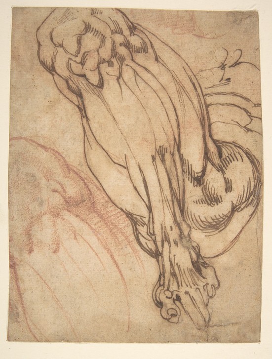 MICHELANGELO BUONARROTI, Anatomical Studies of a Leg (recto) (Anatomie, Studie, Knie, Gelenk, Muskeln, Skizze, Zeichnung, Klassiker, Renaissance, Wunschgröße, schwarz/weiß)