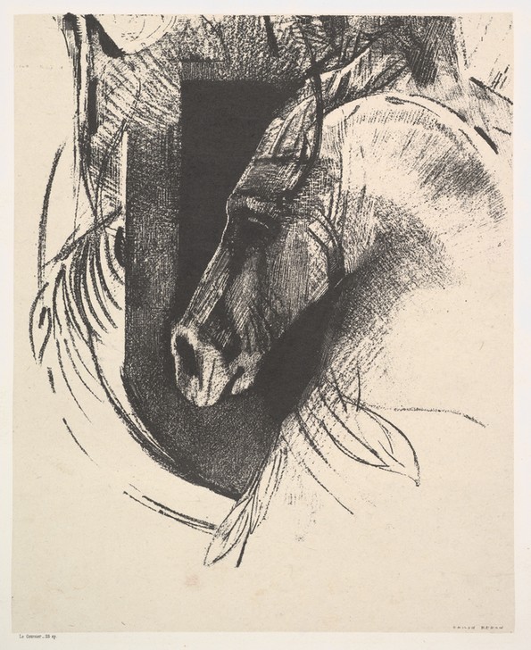 Odilon Redon, The Charger (Pferd, Tierportrait, Profil, Schlachtross, Symbolismus, Treppenhaus, Wohnzimmer, Studie, Zeichnung, Wunschgröße, schwarz/weiß)