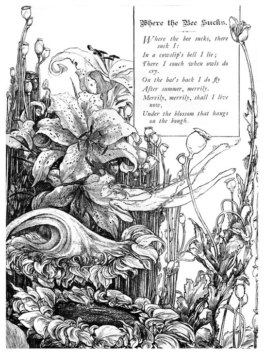 Charles S Ricketts, Where the Bee Sucks, 1895 (Kunst,Literatur,Spiel,Poesie,Schauspiel,Lied,Natur,Blume,Monochromie,Betrieb)