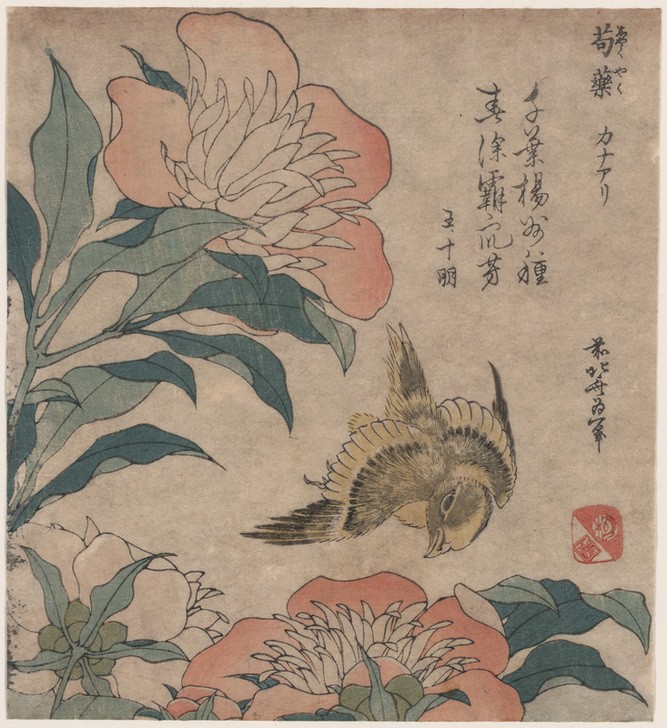 Katsushika Hokusai, Peony and canary (Kunst,Völkerkunde,Japanische Kunst,Pfingstrose)