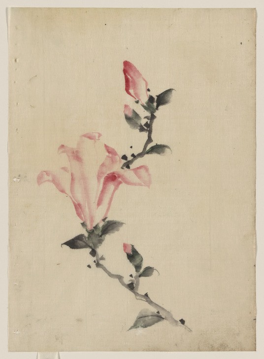 Katsushika Hokusai, Pink Blossom on a Stem (Kunst,Völkerkunde,Japanische Kunst,Blume)
