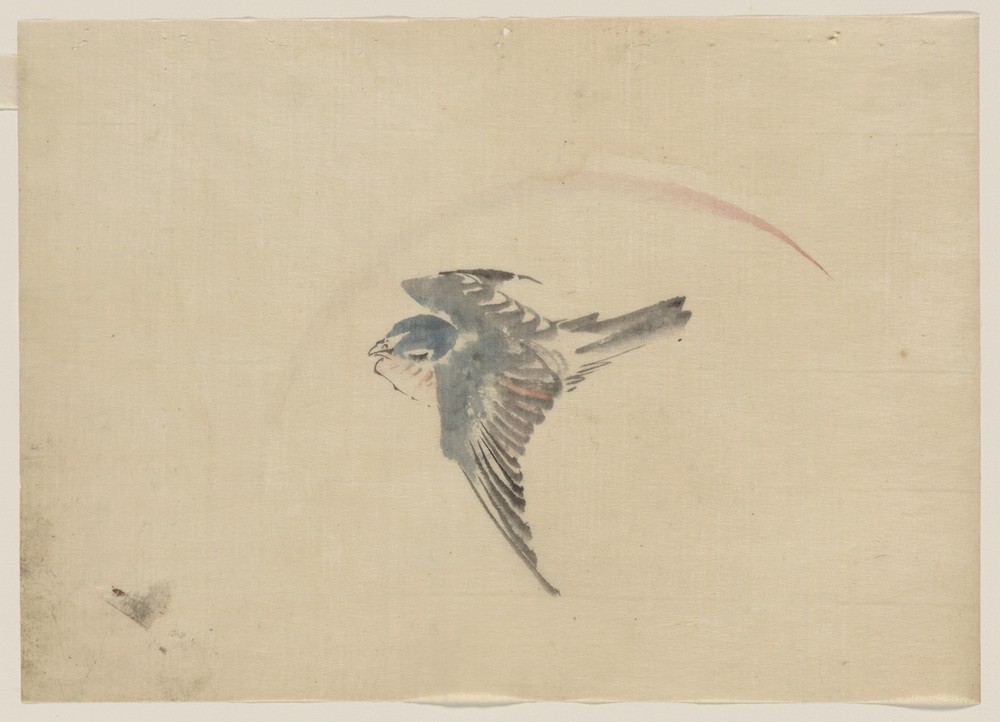 Katsushika Hokusai, A bird flying to the left (Kunst,Völkerkunde,Vogel,Japanische Kunst,Fliegen)
