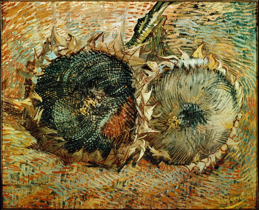 Vincent van Gogh, Zwei abgeschnittene Sonnenblumen (Botanik,Kunst,Sonnenblume,Impressionismus,Stillleben,Niederländische Kunst,Holländische Kunst,Blume)