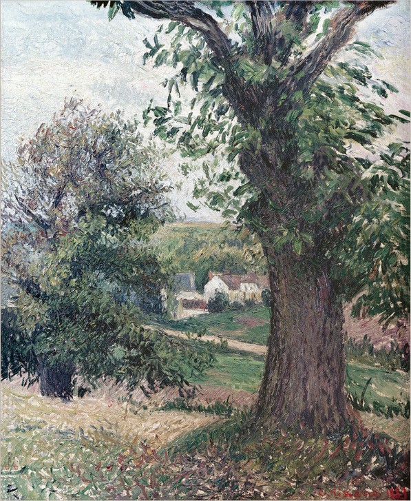 Camille Pissarro, Kastanienbäume in Osny (Dorf,Haus,Kastanie,Kunst,Landschaft,Impressionismus,Baum,Französische Kunst,Provinz,Kastanienbaum,Laubbaum)