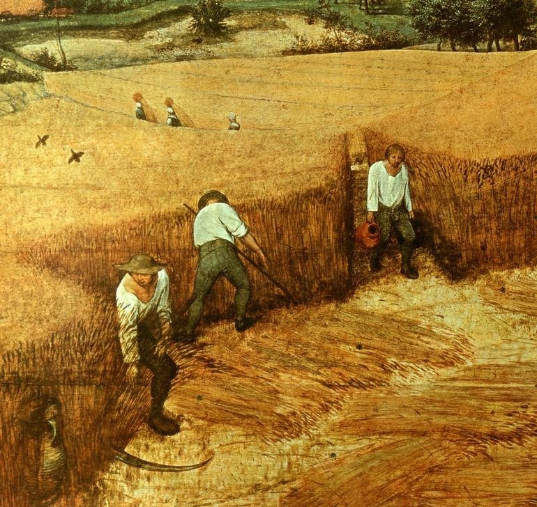 Pieter Brueghel der Ältere, Die Kornernte (Landwirtschaft, Ernte, Getreide, Brot, Jahreszeiten, Sommer, Sense, Schnitter,  Hitze,  Renaissance, Klassiker,  Malerei, Wunschgröße, Wohnzimmer, bunt)