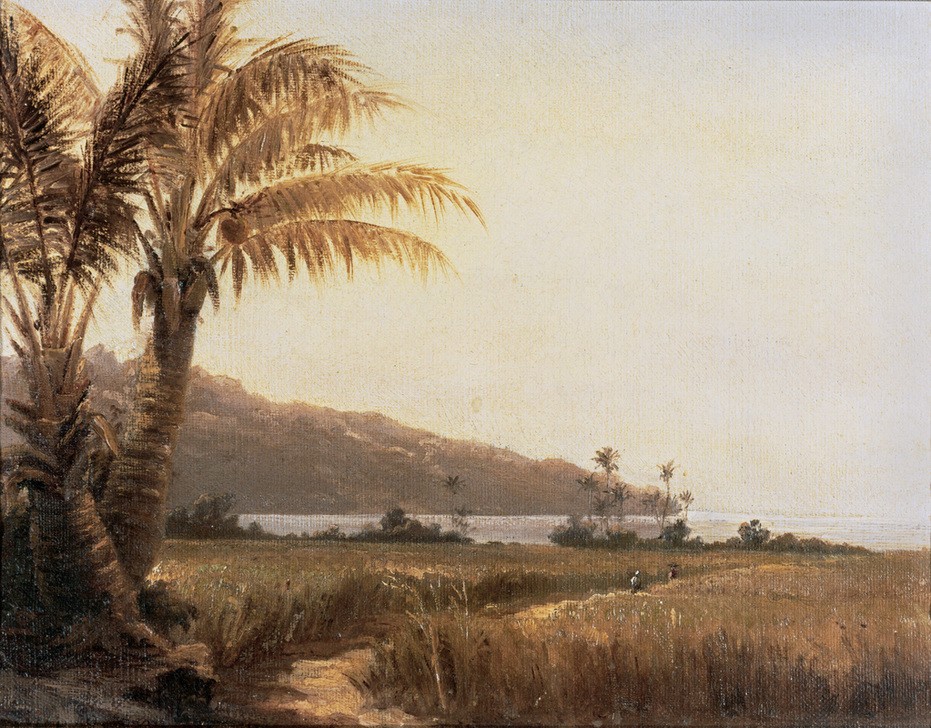 Camille Pissarro, Coconut palms by the sea