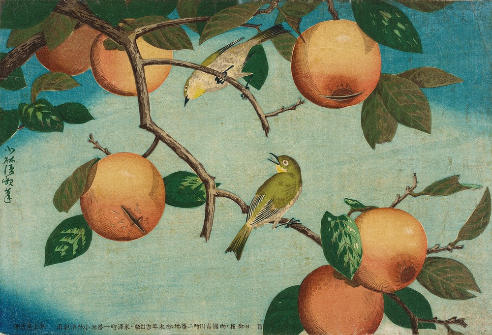 Kiyochika Kobayashi, Kakis und Japanbrillenvögel  (zweige, Früchte, Vogel, Natur, Holzschnitt, japanische Kunst, Asiatische Kunst, Klassiker, Wunschgröße, Esszimmer, Treppenhaus, Wohnzimmer, bunt)