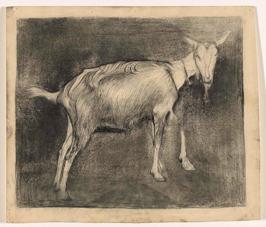 Jan Mankes, Stehende Ziege, nach rechts (Ziege,Kreide,Niederländische Kunst,Tinte,Kugelschreiber,Bleistift)