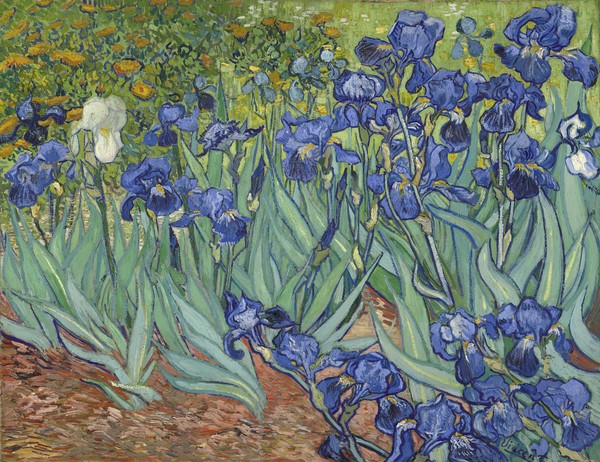 Vincent van Gogh, Irises, 1889 (oil on canvas)