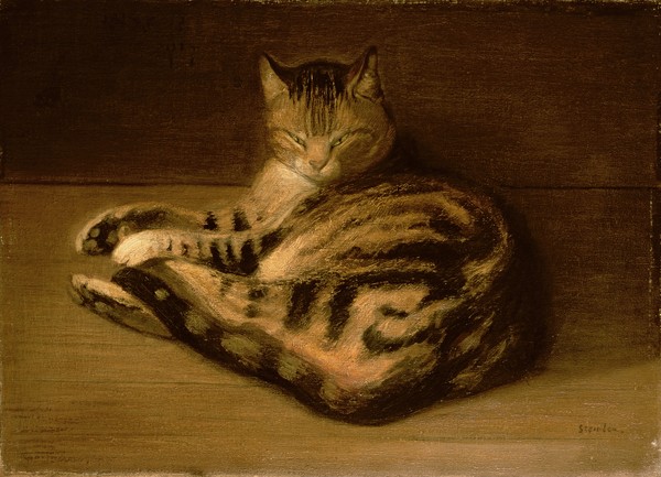 Théophile-Alexandre Steinlen, Recumbent Cat, 1898 (Art Nouveau, Jugendstil, Katzen, Schatten, Tier, Haustier, Malerei, Wohnzimmer, Treppenhaus, Wunschgröße, bunt)