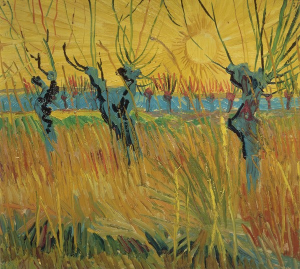 Vincent van Gogh, Pollarded Willows and Setting Sun, 1888 (oil on card)