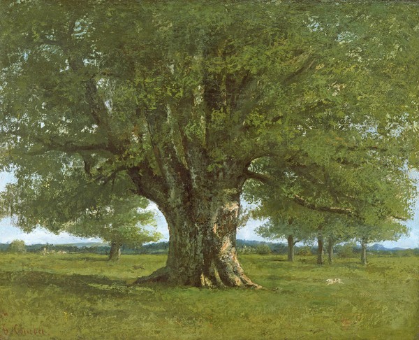 Gustave Courbet, The Flagey Oak Tree, 1864