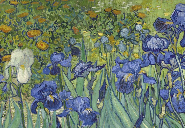 Vincent van Gogh, Irises, 1889 (oil on canvas) (detail of 40070)