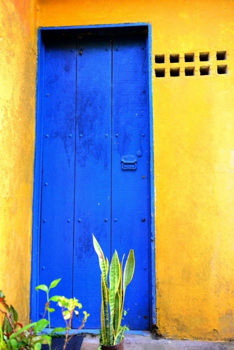 Hady Khandani, BLUE DOOR