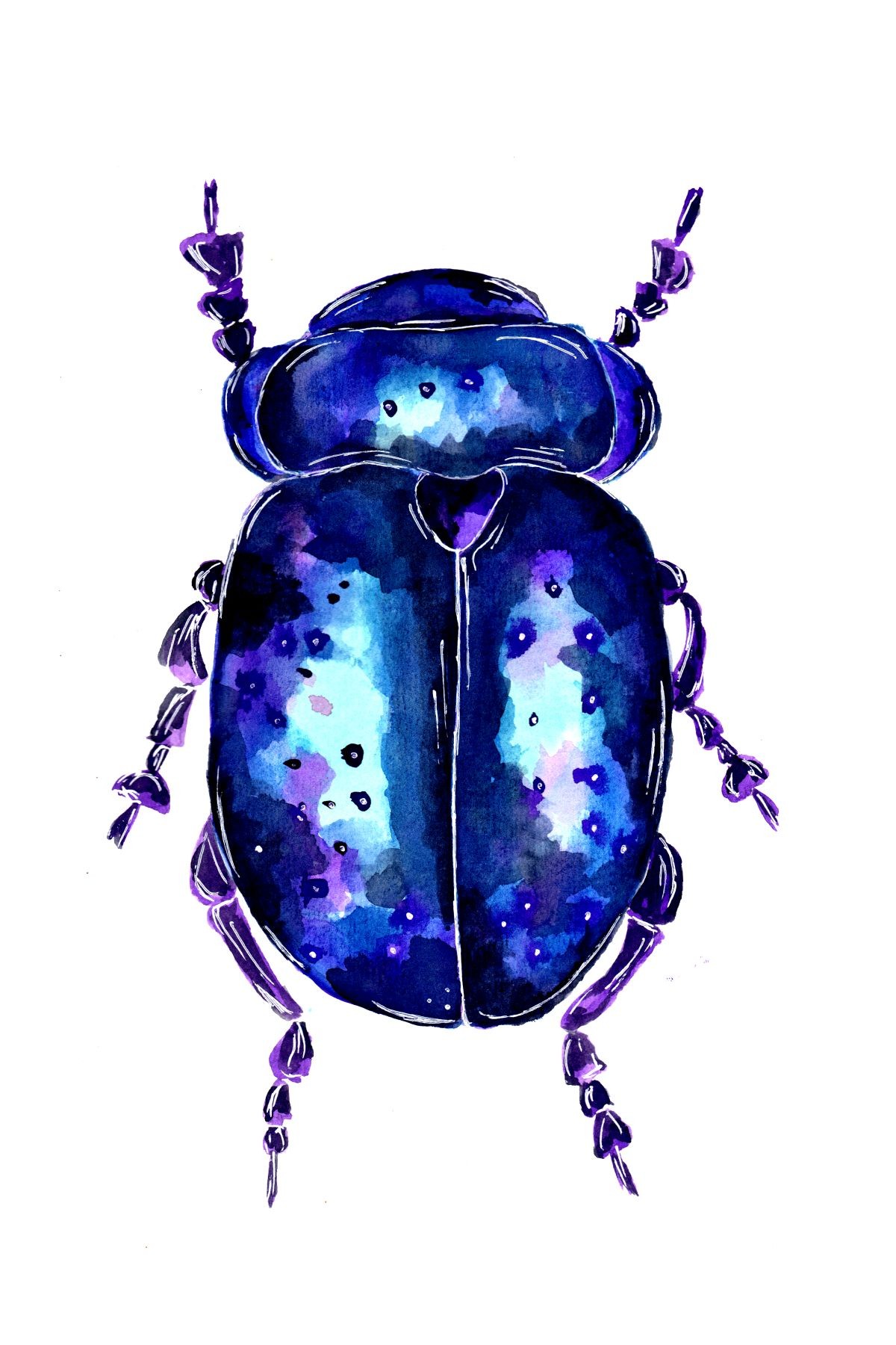 Konfiguration benutzen (Käfer, Tiere, Insekten, Aquarell, Wunschgröße, zeitgenössisch, Treppenhaus, Wohnzimmer,  lila/blau)