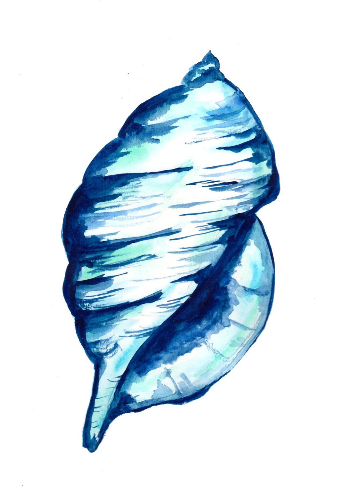 Konfiguration benutzen (Muschel, Tiere, Natur, Ozean, Meer, Fosil, Meeresbrise, modern, Wunschgröße, Badezimmer, Treppenhaus, Wohnzimmer,)