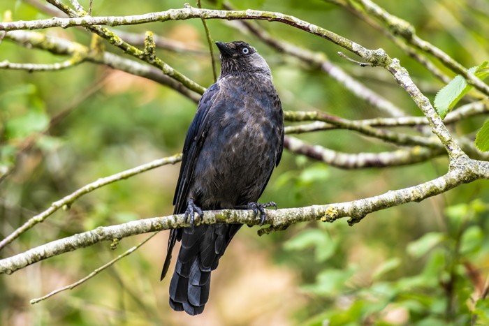 Konfiguration benutzen