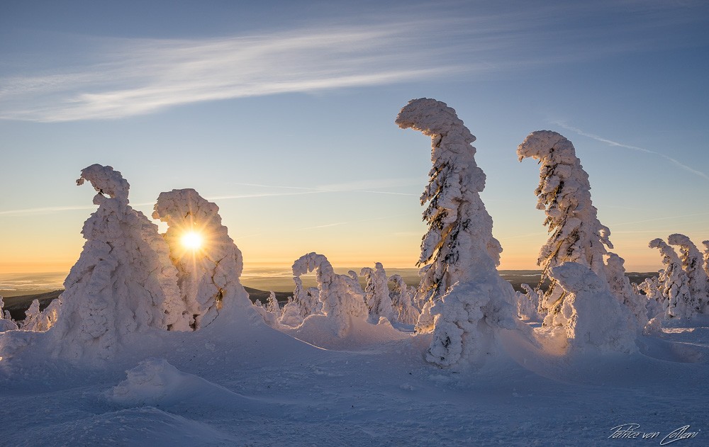 Konfiguration benutzen (Berg, Winter, Schnee, Tannen, Schnee, Schneehauben, eingeschneit, Sonne, Idylle, Wunschgröße, Treppenhaus, Wohnzimmer, Fotografie,)