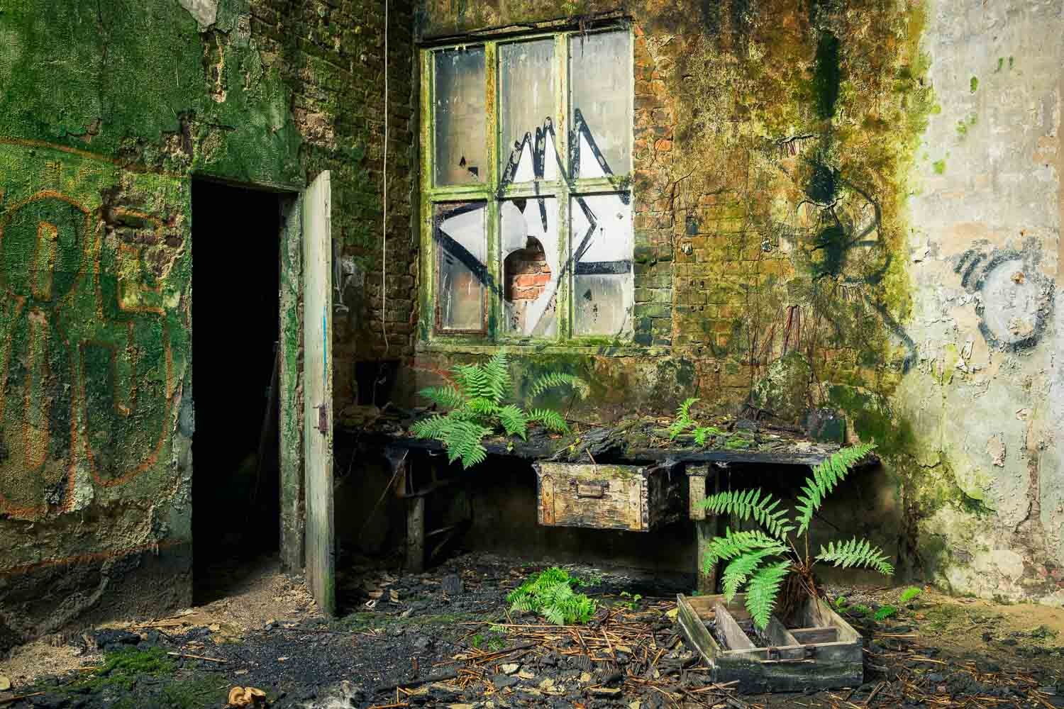 Konfiguration benutzen (Büro, Schreibtisch, Zerstörung, Moos, Grünspan, Verfall, Zerstörung, Vergänglichkeit, Melancholie, morbid, Wohnzimmer, Fotokunst, Wunschgröße, bunt)