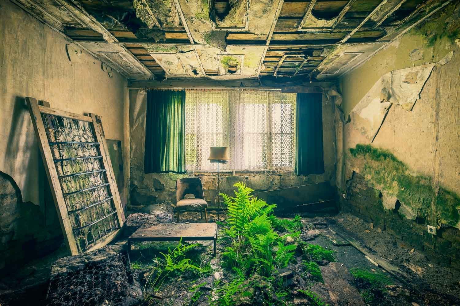 Konfiguration benutzen (Hotelzimmer, Abriss, Lattenrost, Moos, Schimmel, Farn, Grünspan, Architektur, Verfall, Zerstörung, Vergänglichkeit, Melancholie, morbid, Wohnzimmer, Fotokunst, Wunschgröße, bunt)