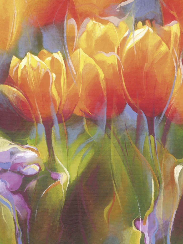 Janusz Remi, Orange Tulpen 2 (Tulpen, Blumen, Blüten, Blütenblätter, zart, filigran, frisch, Frühling, Treppenhaus, Wohnzimmer,orange)