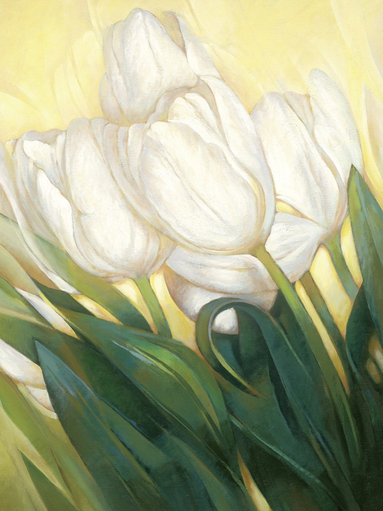 Janusz Remi, Weiße Tulpen 3 (Tulpen, Blumen, Blüten, Blütenblätter, zart, filigran, frisch, Frühling, Treppenhaus, Wohnzimmer, weiß)