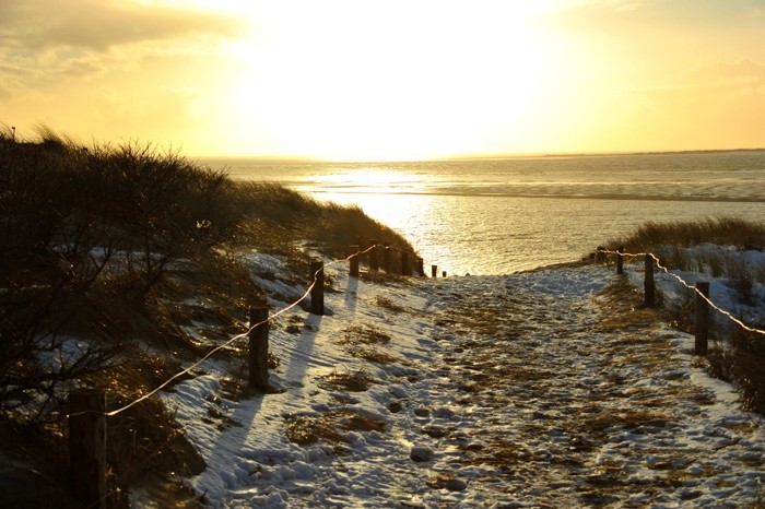 Hady Khandani, DUNES AND BEACH - LANGEOOG - GERMANY (Meer, Nordsee, Dünen, Dünengras, Horizont, Sonnenuntergang, Strand, Insel, Deutschland, Landschaft, Wunschgröße, Wohnzimmer, Treppenhaus, Fotografie, bunt)