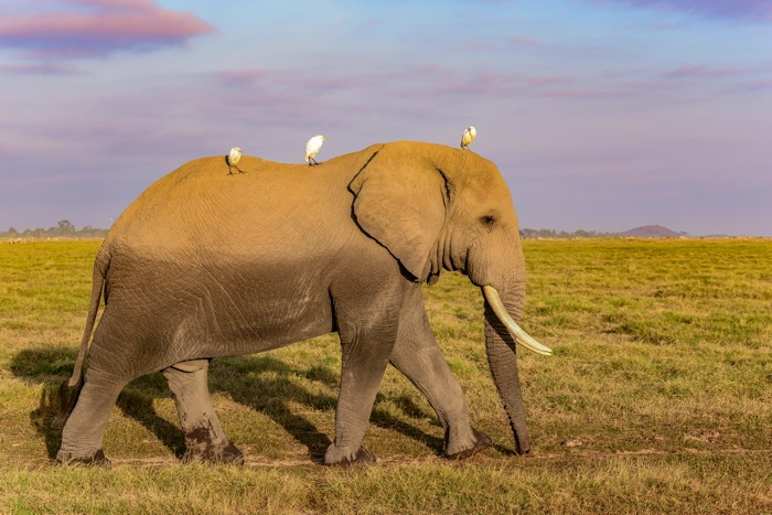 Konfiguration benutzen