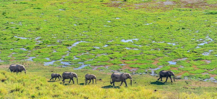 Konfiguration benutzen