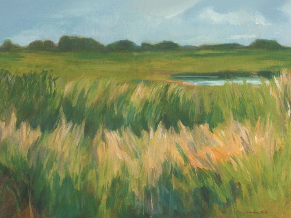 Enno Franzius, Wiese Zingst 2 (Natur & Landschaften, Halbinsel, Ostsee, Wiese, Sommer, zeitgnössisch, Wohnzimmer, Malerei, bunt)