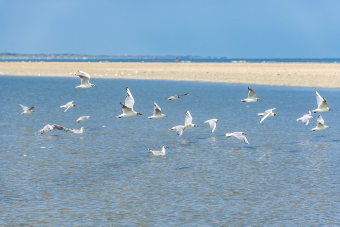 Konfiguration benutzen