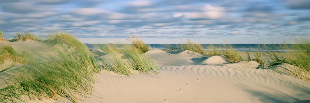 Ingo Gebhard, Sturm aus Ost (Strand, Sand, Düne, Dünengras, Meer, Wolken, Horizont, Meeresbrise, Ruhe, Entspannung, Fotografie, Treppenhaus, Arztpraxis, Badezimmer, bunt)