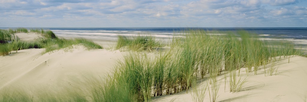 Ingo Gebhard, Springflut (Strand, Sand, Düne, Dünengras, Meer, Wolken, Horizont, Meeresbrise, Ruhe, Entspannung, Fotografie, Treppenhaus, Arztpraxis, Badezimmer, bunt)