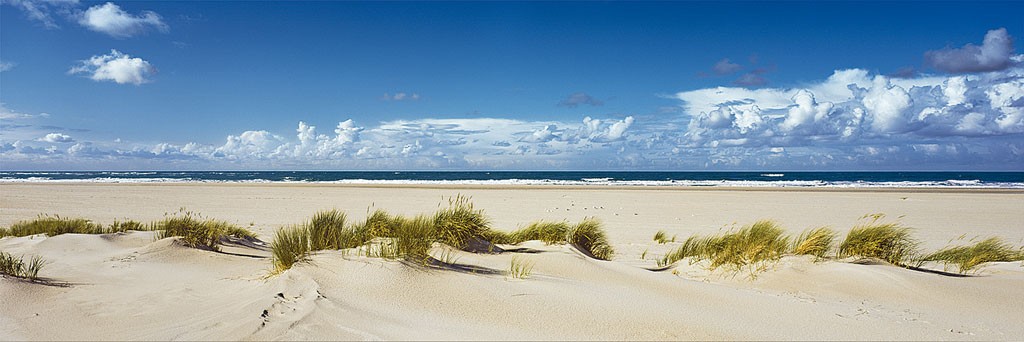 Ingo Gebhard, Sommerdüne (Strand, Sand, Dünengras, Meer, Wolken, Horizont, Meeresbrise, Ruhe, Entspannung, Fotografie, Treppenhaus, Arztpraxis, Badezimmer, bunt)