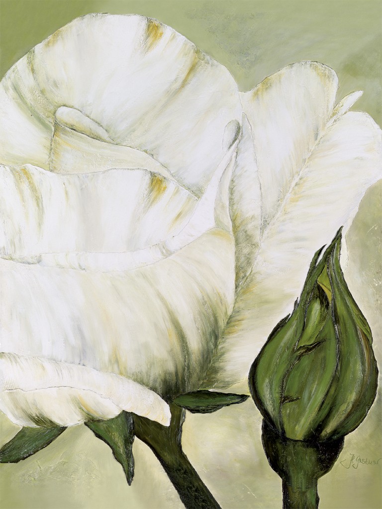 Heidi Gerstner, Weiße Rose mit Knospe (Rose, Knospe, Blume, Blüte, Blütenblätter, modern, Malerei, Treppenhaus, Wohnzimmer, Esszimmer, weiß/grün)