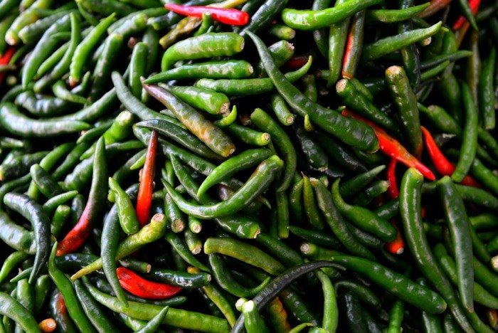 Hady Khandani, GREEN CHILLI (Chili, grüne Chilischoten, Schoten, Schärfe, Gemüse, Fotografie, Küche, Esszimmer, Gastronomie, Wunschgröße, bunt)