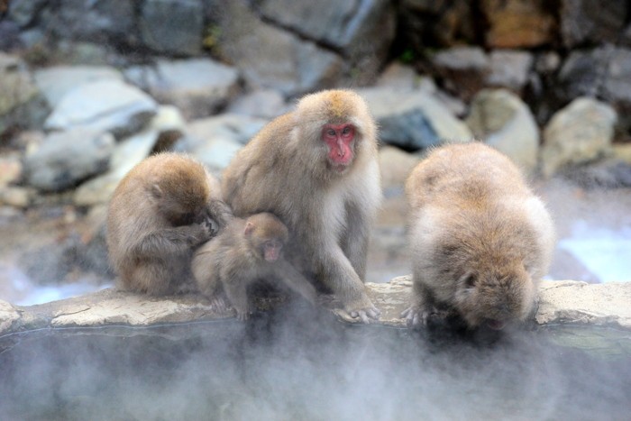 Konfiguration benutzen