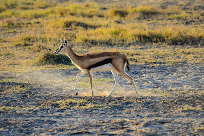 Konfiguration benutzen